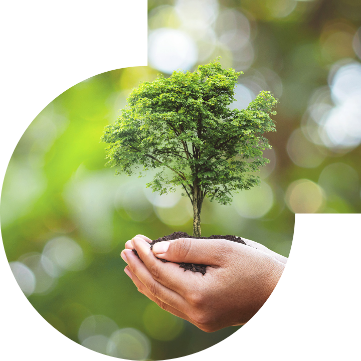 关怀人类、文化、环境与社会